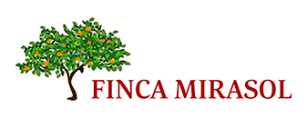 Finca Mirasol - Casas rurales Valencia